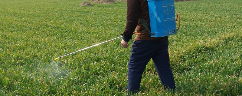 丙草胺和异丙草胺究竟有哪些不同之处，它们各自又具备什么样的特点呢