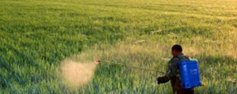 敌草快与草胺磷究竟有什么不同之处，具体主要体现在哪些表现方面