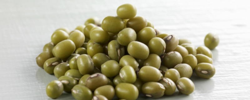 绿豆适合在几月份进行种植，都有哪些比较实用的种植技术呢