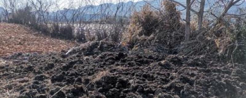 农家肥自然发酵的具体方法，附带它的正确使用技巧有哪些