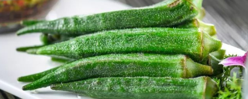 秋季的时令蔬菜究竟有哪些，秋季适合多吃什么类型的食物