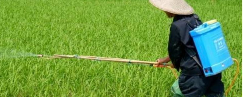 农药是否会被雨水冲刷掉，在夏季喷洒农药需要注意的事项具体有哪些