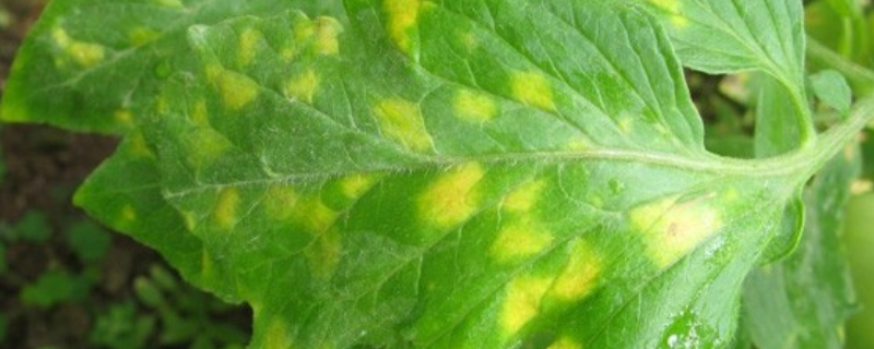 加瑞农的使用禁忌具体有哪些，它的详细使用方法和安全防护措施