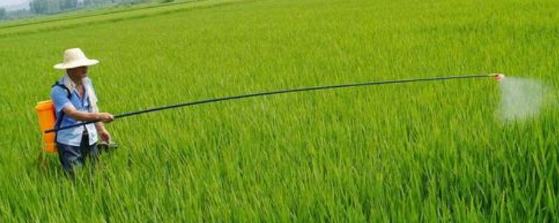 农用链霉素究竟应该怎么使用，针对不同症状需采取不同的防治方法