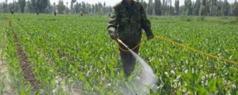 莠去津除草剂适用于哪些类型的作物，它的具体使用方法与操作流程是什么