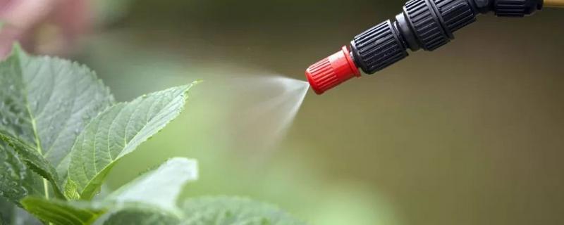 吗胍乙酸铜在配药时有哪些具体的禁忌，附带详细的注意事项有哪些