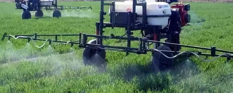 苦参碱能和哪些类型的农药进行混用，关于苦参碱的基本知识介绍