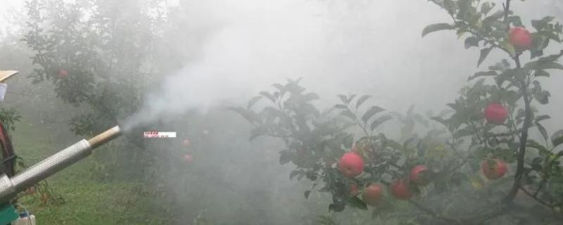 木霉菌具体有哪些作用和功效，它在农业生产中具体该怎么防治病害