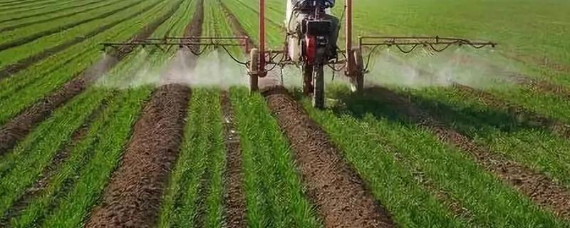 氯酯磺草胺可以有效杀除哪些杂草，其具体的用法用量与施用方法有哪些