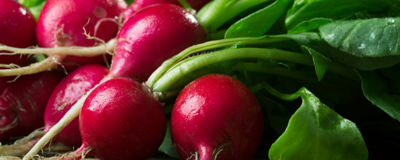 小水萝卜的叶子到底能不能吃，它有哪些常见的家庭做法