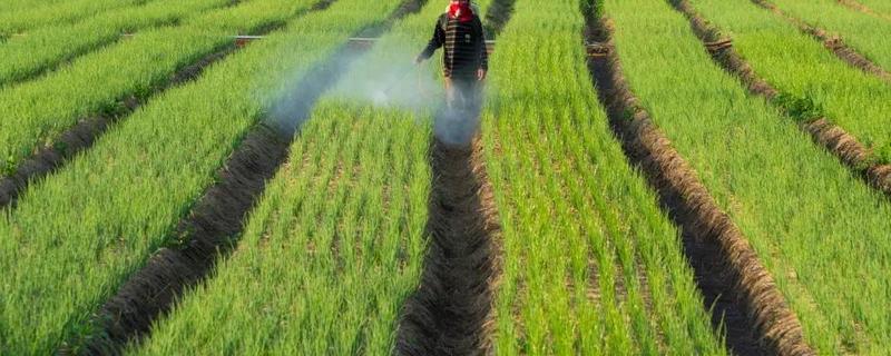 使用除草剂究竟会产生哪些危害，通常包含了以下这三个大的危害