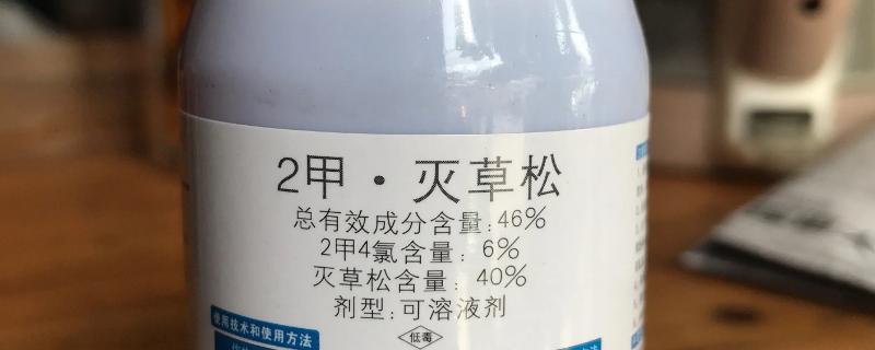 水稻处于孕穗期，能否喷施二甲灭草松呢