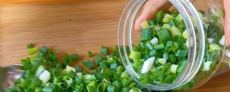 小葱怎样保存时间才能够最长