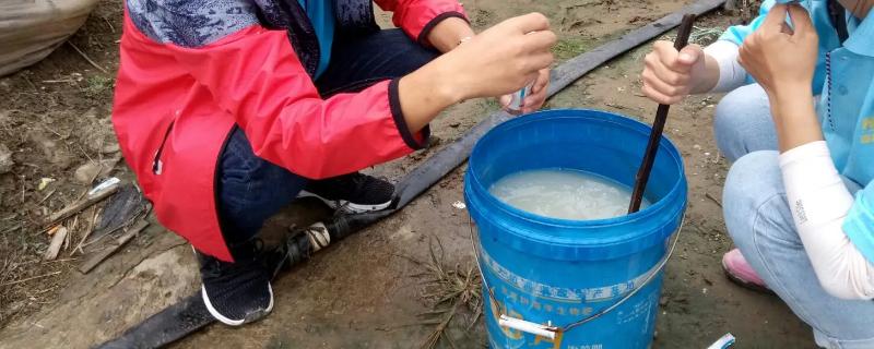 辣椒枯萎病用什么药，该如何科学防治