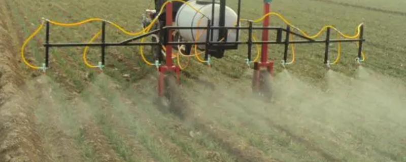 百草枯现在被改成了什么名字，它目前究竟又叫什么名称呢