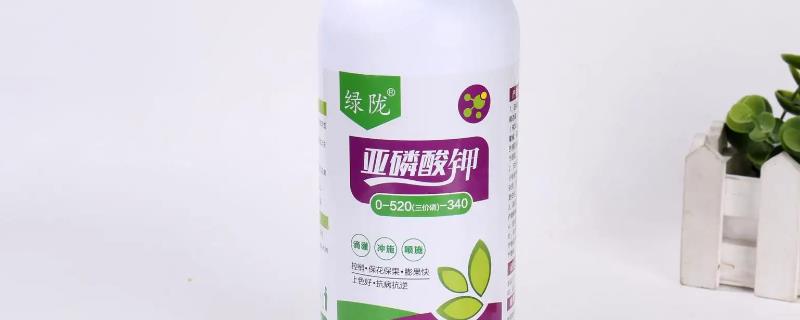 亚磷酸钾的控旺效果究竟怎么样呢