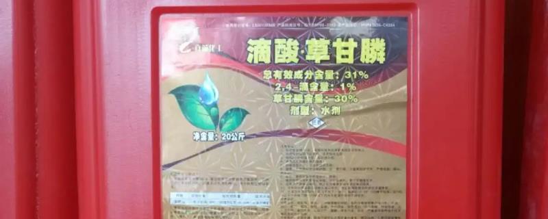 滴酸草甘膦和草甘膦有哪些主要区别，详细解析它们之间的不同之处