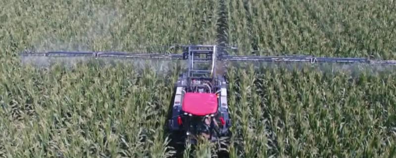 百菌清如何兑水，具体的比例是多少