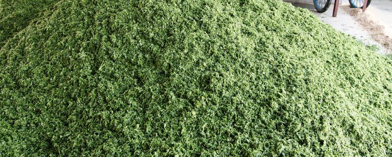 简易的青储方式有哪些