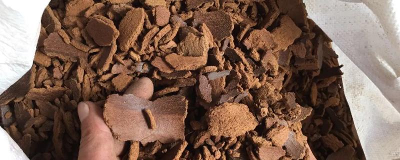 菜籽饼该如何直接用来做底肥