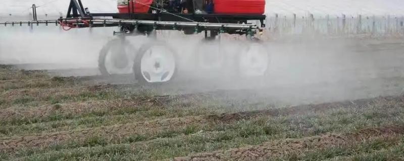 百菌清和多菌灵的区别在哪里，它们之间具体有哪些不同之处