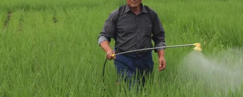 王铜代森锌是否可以和其他农药混合使用，它能够与绝大多数杀虫剂以及杀螨剂进行复配