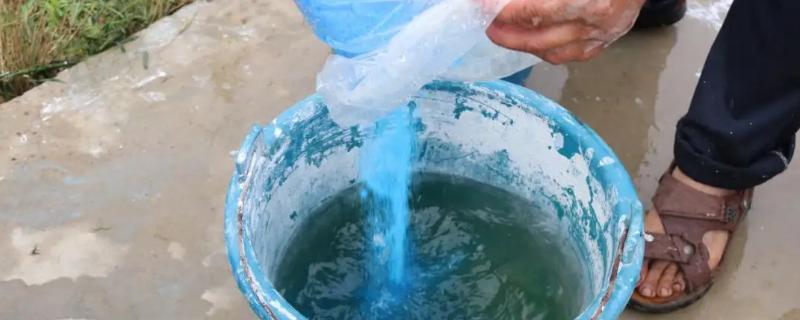 应当如何配制波尔多液，生石灰的品质选择至关重要