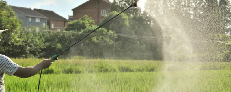 杀虫双到底可以杀灭哪些害虫，这种农药具有非常强悍的内吸作用