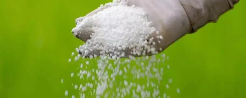 施用磷肥的相关技巧，要根据土壤有效磷的具体含量施用