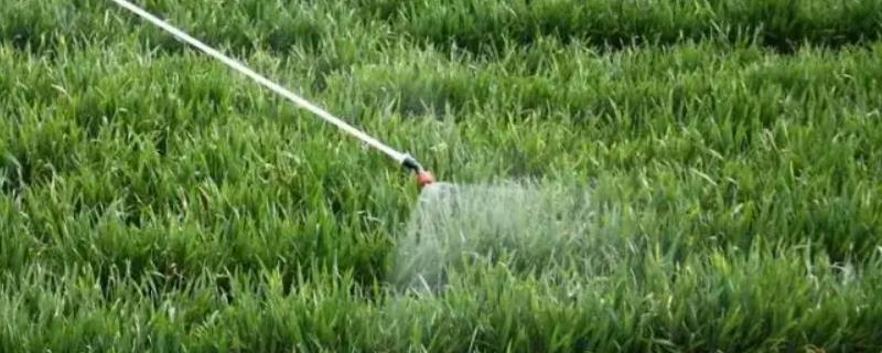 除草剂中毒的分类有哪些，请务必在日常生活中合理使用