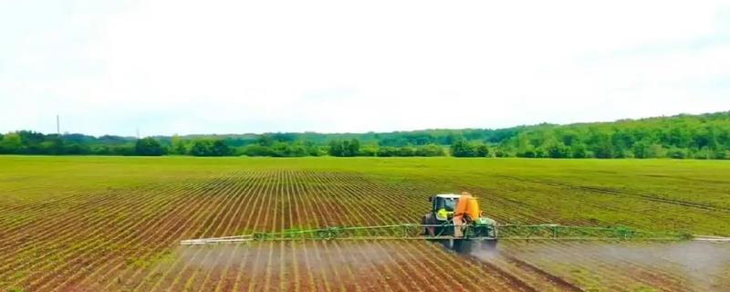 除草剂究竟属于哪一类农药，这里有自配死根除草剂的详细具体方法