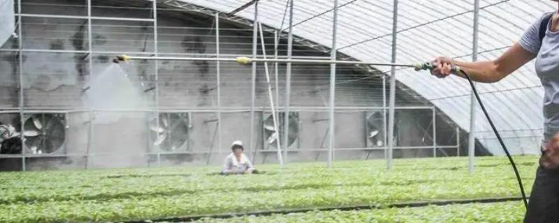 甲维盐是否可以用来防治蚜虫，附带甲维盐的具体用途有哪些