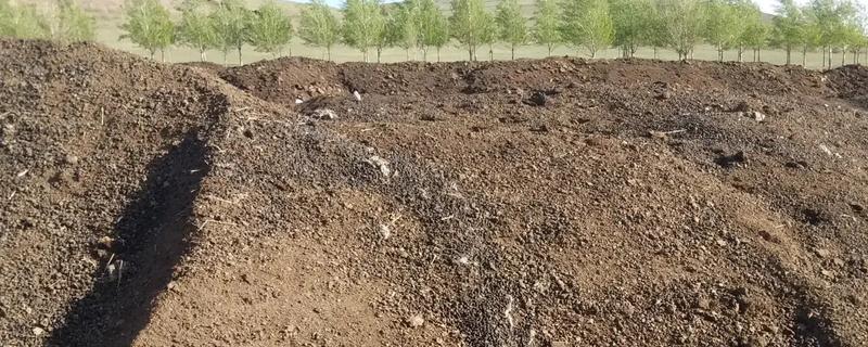 羊粪最简单的发酵方法究竟是什么，羊粪具体的发酵操作方法有哪些