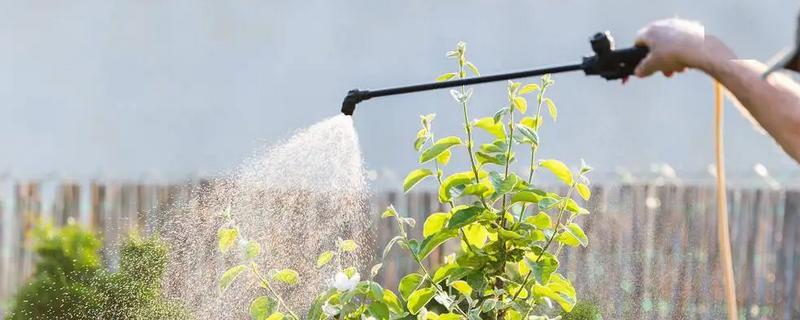 滴酸草甘膦在使用时有哪些注意事项，必须严格按照相关操作要求来进行使用