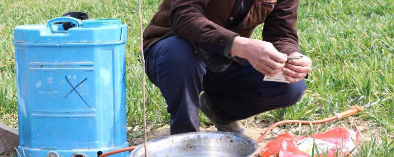 二甲戊灵什么作物绝对不能够使用