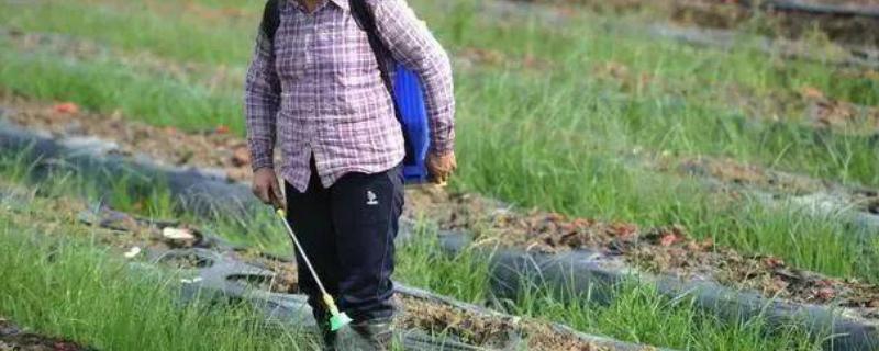 露娜森杀菌剂详细使用说明书