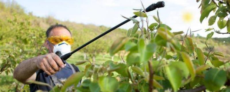 异菌脲杀菌剂主要防治哪些病害