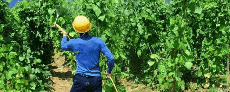 安泰生杀菌剂的使用说明有哪些，它的具体用法用量和防治对象是什么