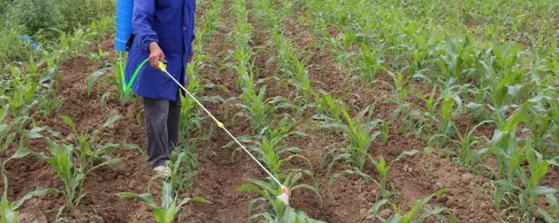 苞卫除草剂详细使用说明书