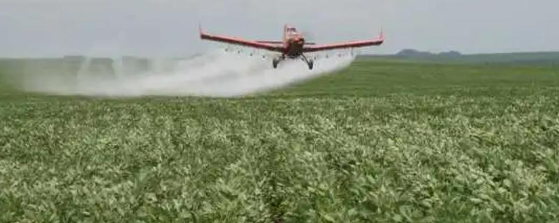 农达除草剂详细的使用说明