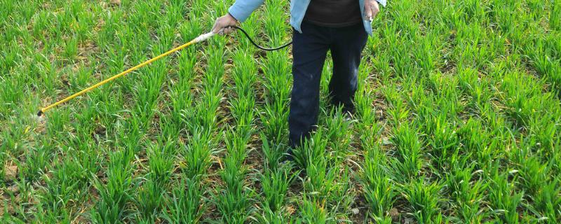 磷酸二氢钾和流体硼一起使用的用量是多少，具体的混合配比是多少呢