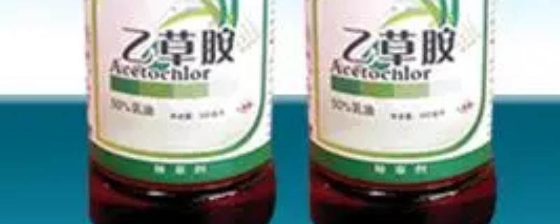 乙草胺除草剂的详细使用说明书，这款农药的具体作用和施用方法