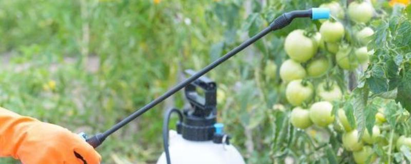 王铜农药主要防治哪些病害呢