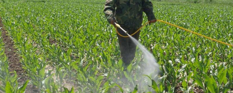 硝烟莠去津除草剂的详细使用说明书介绍