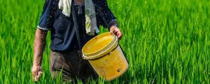 一亩地究竟需要使用多少氮肥