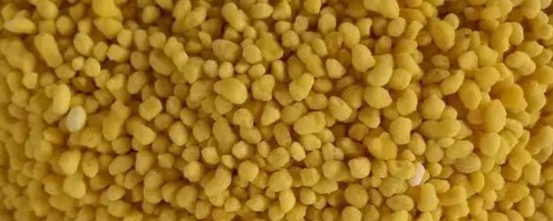 氮肥能否起到促进果树开花结果的作用呢