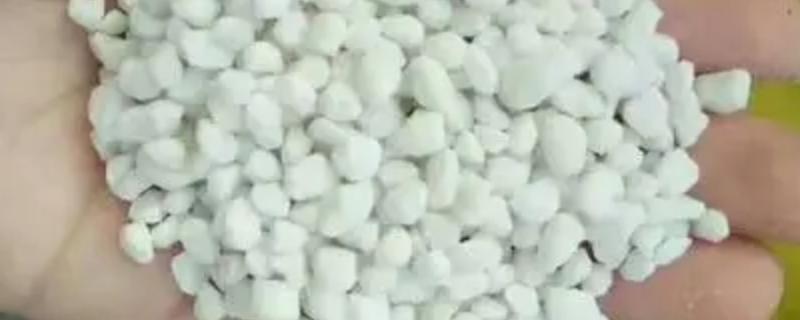 全面探讨氮肥养花所发挥的功效和适宜的施用方式