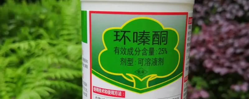 环嗪酮杀树的具体使用方法有哪些，详细的用药步骤是什么