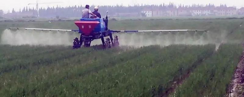 吡唑醚菌酯配合磷酸二氢钾会产生药害吗，如何避免出现药害风险