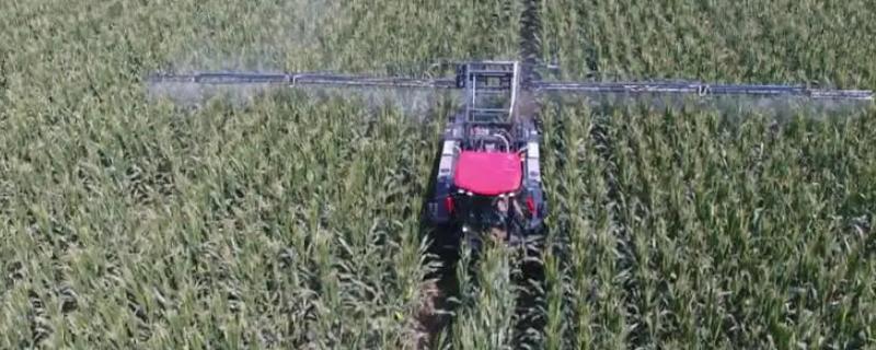 吡唑醚菌酯具体能防治哪些病害呢